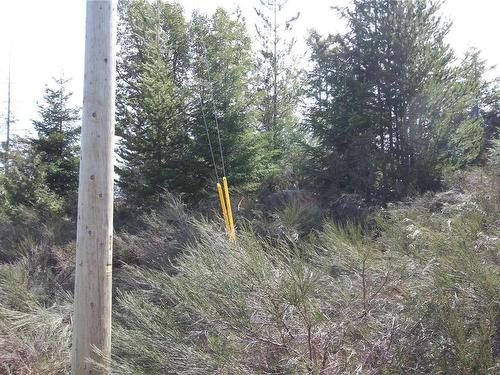 Lot 32 Goldstream Heights Dr, Shawnigan Lake, BC 