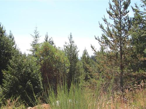 Lot 40 Goldstream Heights Dr, Shawnigan Lake, BC 