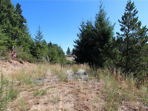 Lot 40 Goldstream Heights Dr, Shawnigan Lake, BC 