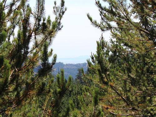 Lot 40 Goldstream Heights Dr, Shawnigan Lake, BC 