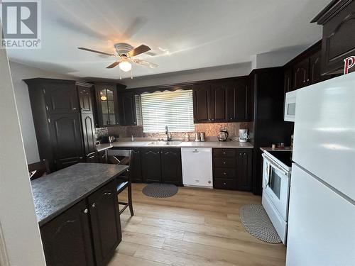 5 Frecker Place, Placentia, NL - Indoor Photo Showing Kitchen With Double Sink