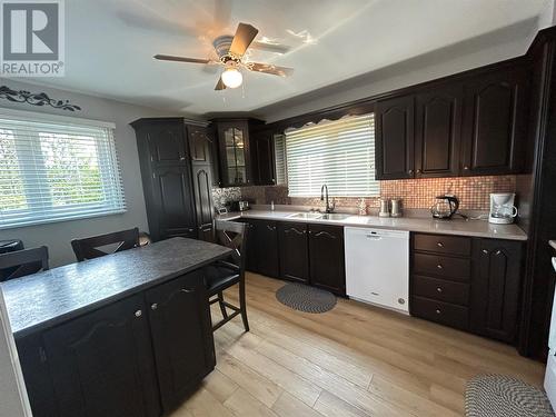 5 Frecker Place, Placentia, NL - Indoor Photo Showing Kitchen With Double Sink