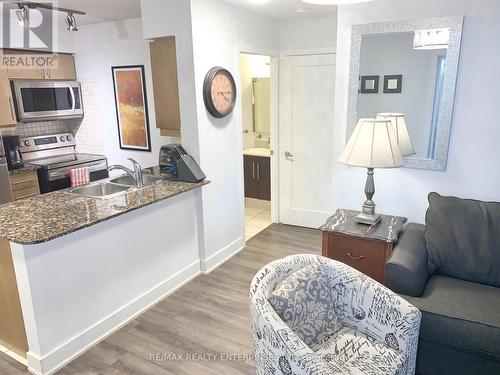 517 - 20 Blue Jays Way, Toronto, ON - Indoor Photo Showing Kitchen With Double Sink