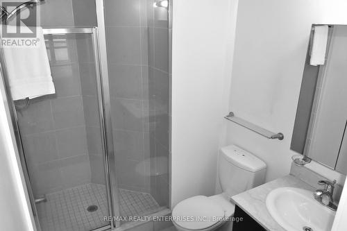 517 - 20 Blue Jays Way, Toronto, ON - Indoor Photo Showing Bathroom