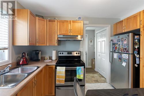 17 Teakwood Drive, St. John'S, NL - Indoor Photo Showing Kitchen With Double Sink