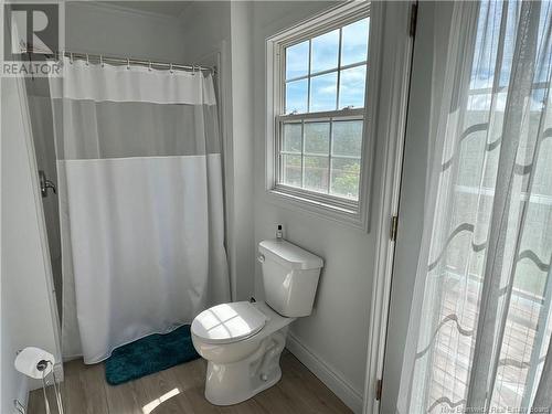 19 Riverview Street, Perth-Andover, NB - Indoor Photo Showing Bathroom