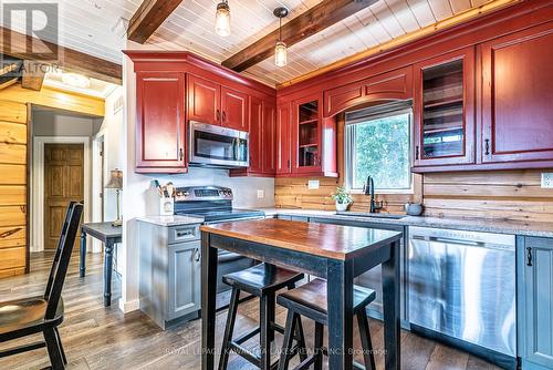 11 First Street, Kawartha Lakes (Dunsford), ON - Indoor Photo Showing Kitchen