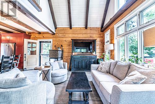 11 First Street, Kawartha Lakes (Dunsford), ON - Indoor Photo Showing Living Room With Fireplace