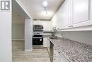 109 - 135 James Street S, Hamilton (Durand), ON  - Indoor Photo Showing Kitchen With Double Sink 