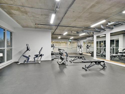 Exercise room - 702-8125 Boul. St-Laurent, Brossard, QC - Indoor Photo Showing Gym Room