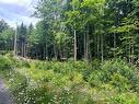 Land/Lot - Ch. Gagnon, Mille-Isles, QC 