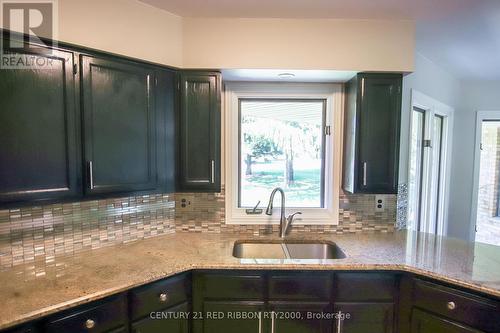 24642 Dodge Drive, Adelaide Metcalfe, ON - Indoor Photo Showing Kitchen