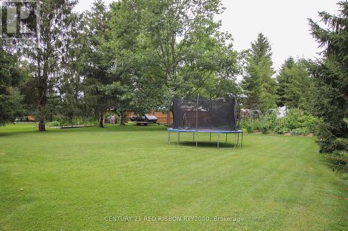 24642 Dodge Drive, Adelaide Metcalfe, ON - Outdoor With Backyard