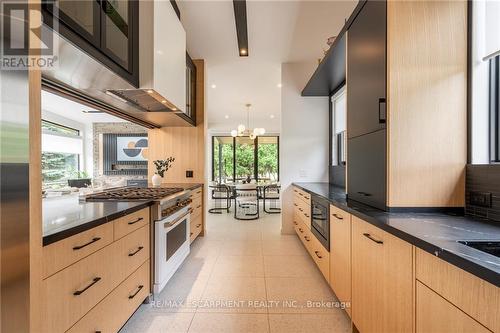 98 Mansfield Drive, Hamilton, ON - Indoor Photo Showing Kitchen With Upgraded Kitchen