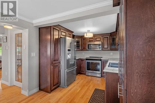 7 Barney Hill, Ferryland, NL - Indoor Photo Showing Kitchen With Stainless Steel Kitchen With Double Sink