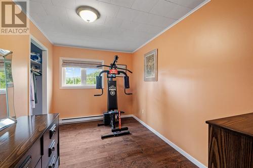 7 Barney Hill, Ferryland, NL - Indoor Photo Showing Gym Room