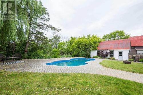 2561 County Road 10 Road, Prince Edward County (South Marysburgh), ON - Outdoor With In Ground Pool With Backyard