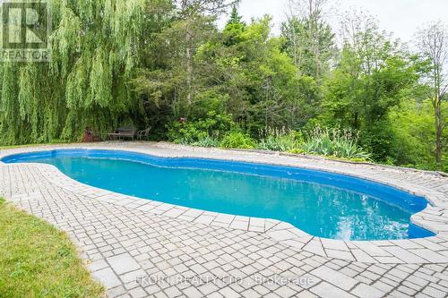 2561 County Road 10 Road, Prince Edward County (South Marysburgh), ON - Outdoor With In Ground Pool With Backyard