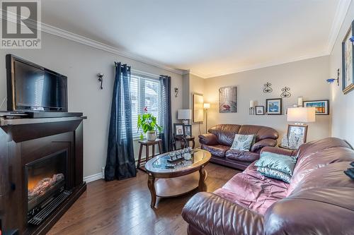 33 Winslow Street, St. John'S, NL - Indoor Photo Showing Living Room With Fireplace