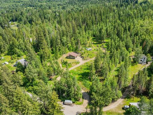 3439 Cazakoff Road, Nelson, BC - Outdoor With View