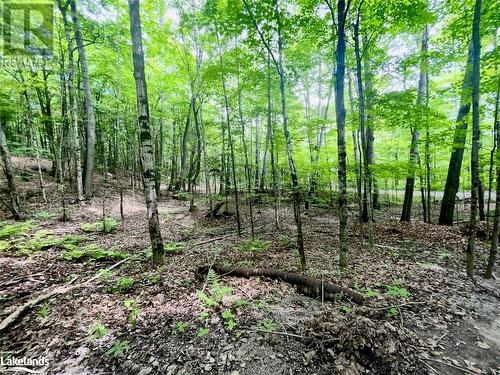 Part Lot 14 Con 14 Silverwood Road, Minden, ON 