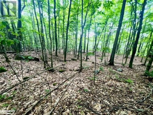 Part Lot 14 Con 14 Silverwood Road, Minden, ON 