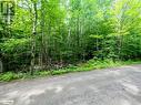 Part Lot 14 Con 14 Silverwood Road, Minden, ON 