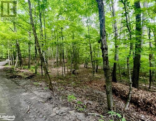 Part Lot 14 Con 14 Silverwood Road, Minden, ON 