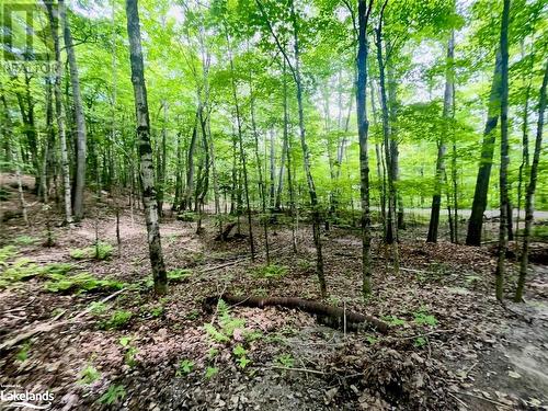 Part Lot 14 Con 14 Silverwood Road, Minden, ON 