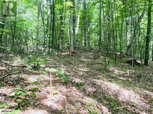 Part Lot 14 Con 14 Silverwood Road, Minden, ON 