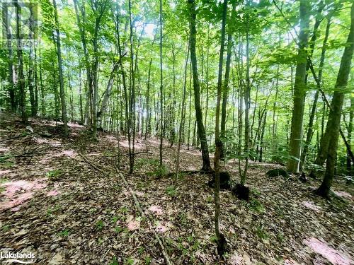 Part Lot 14 Con 14 Silverwood Road, Minden, ON 