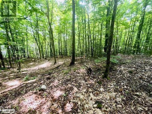 Part Lot 14 Con 14 Silverwood Road, Minden, ON 