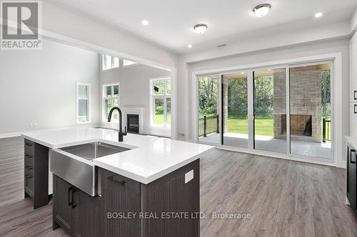 120 Dorothy Drive, Blue Mountains (Thornbury), ON - Indoor Photo Showing Kitchen