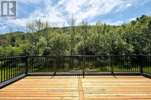 120 Dorothy Drive, Blue Mountains (Thornbury), ON - Outdoor