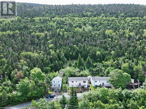 7 Whelan’S Lane, St. John’S, NL - Outdoor