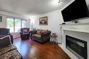 238 Candlewood Drive, Hamilton, ON  - Indoor Photo Showing Living Room With Fireplace 