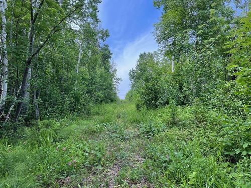 Terre/Terrain - Route 132, Hope, QC 