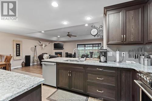 1126 Florence Avenue, Windsor, ON - Indoor Photo Showing Kitchen With Double Sink