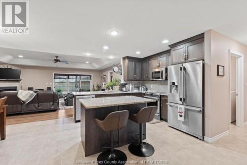 1126 Florence Avenue, Windsor, ON - Indoor Photo Showing Kitchen With Upgraded Kitchen