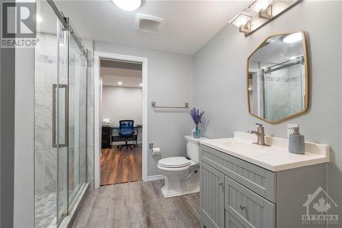 1009 Winterspring Ridge, Ottawa, ON - Indoor Photo Showing Bathroom