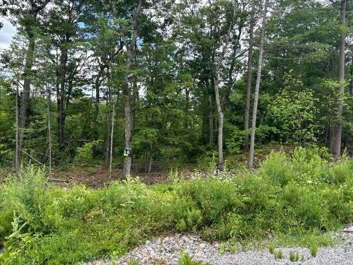 Land/Lot - Rue Du Terroir, Cantley, QC 