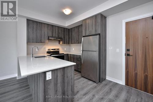 613 - 121 Highway 8 Road, Hamilton, ON - Indoor Photo Showing Kitchen With Stainless Steel Kitchen With Upgraded Kitchen