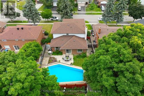 8 Charade Court, Toronto, ON - Outdoor With In Ground Pool