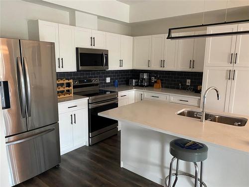 309 3400 Mcdonald Avenue, Brandon, MB - Indoor Photo Showing Kitchen With Double Sink