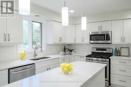 865 North Talbot Road, Windsor, ON - Indoor Photo Showing Kitchen With Double Sink With Upgraded Kitchen