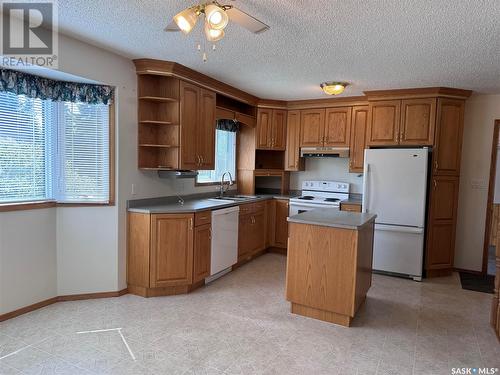 42 Shannon Street, Lanigan, SK - Indoor Photo Showing Kitchen