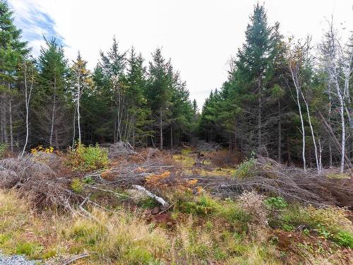 Lot 22-11 Back Country Lane, Wentworth, NS 