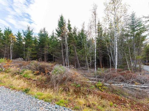 Lot 22-11 Back Country Lane, Wentworth, NS 