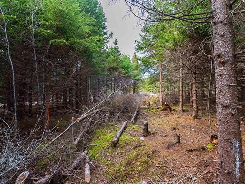 Lot 22-11 Back Country Lane, Wentworth, NS 