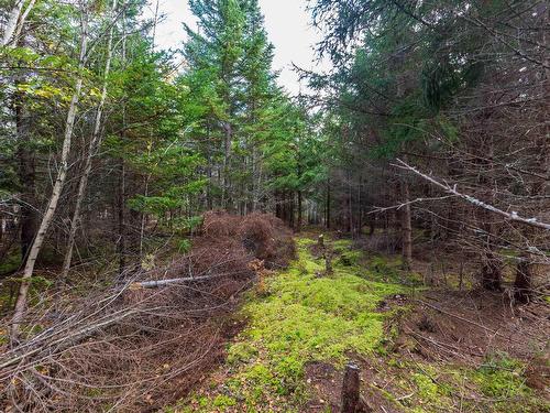 Lot 22-11 Back Country Lane, Wentworth, NS 